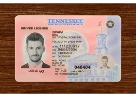Tennessee Driver’s Licence  (2025 Version)