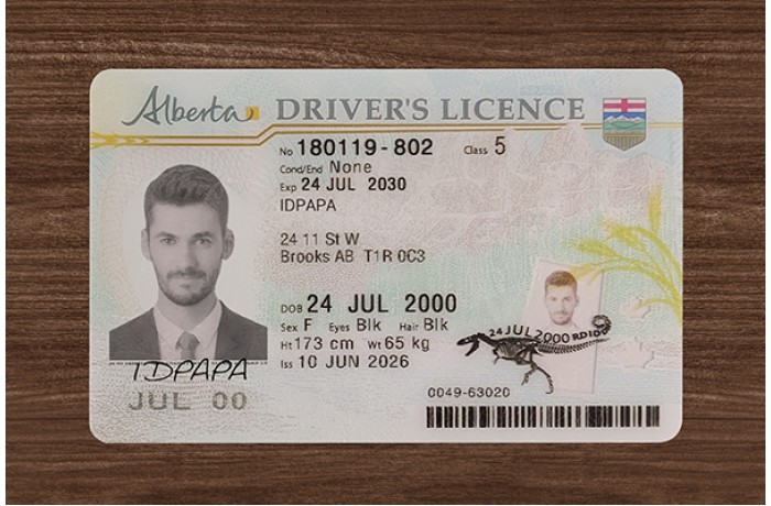 Alberta Driver’s Licence Alberta Driver’s Licence