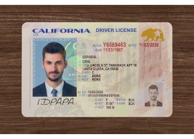 California Driver’s Licence (2026 Version)