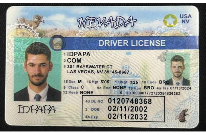 Nevada Card