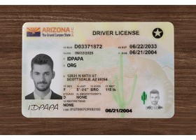 Arizona Driver’s Licence (2025 Version)