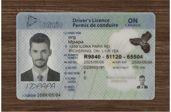 Ontario Card (2025 Version)